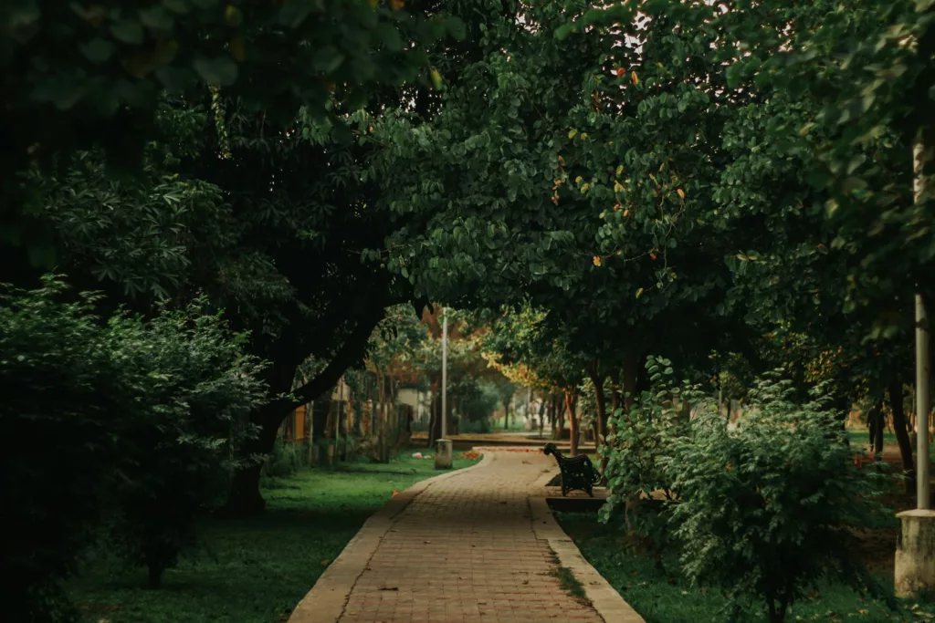 brown wooden pathway between green grass and trees during daytime.
Nice place to hangout by yourself 